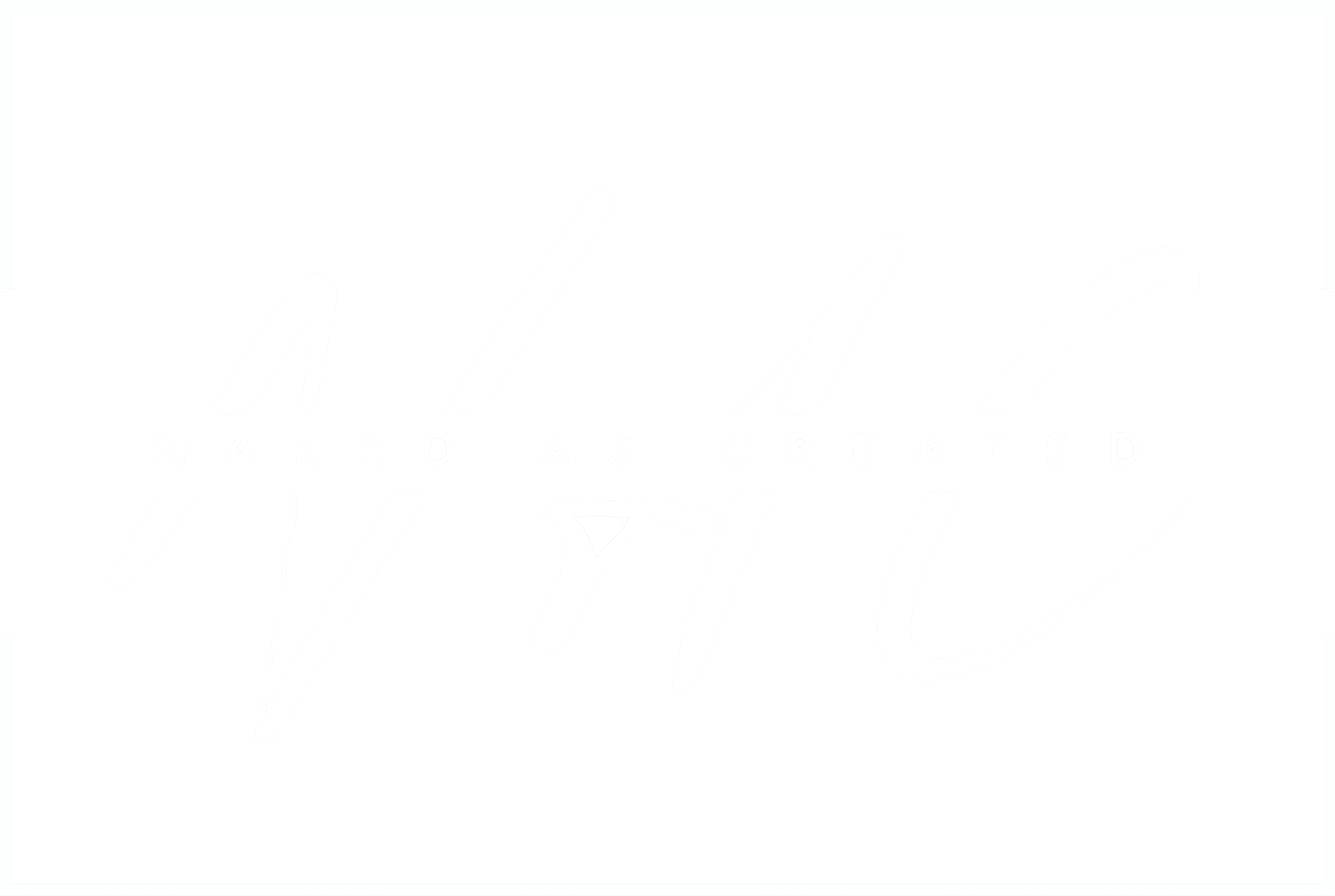 NAC Fellowship mark